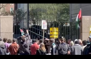 Proteste pro Palestina in Usa