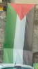 free palestine everywhere