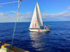 Immagine della flotilla