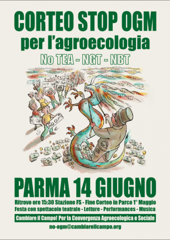 cambiare il campo