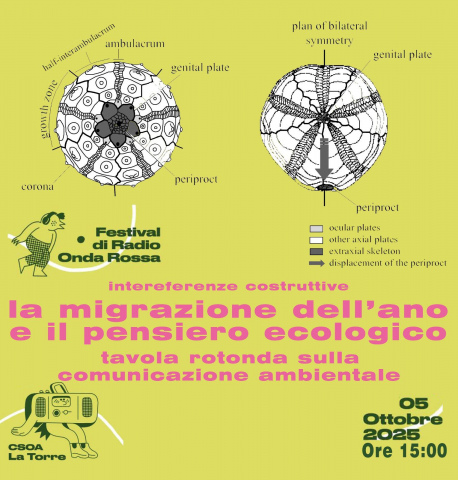 migrazione ano