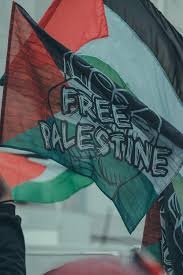 immagine bandiera con scritto free palestine