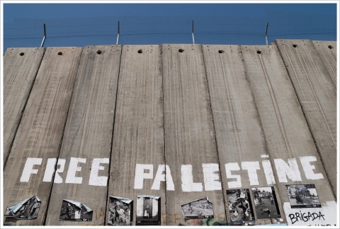 Aggiornamenti e appuntamenti sulle lotte a fianco del popolo palestinese.