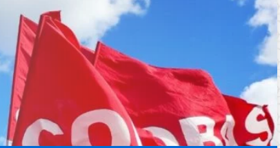 bandiera Cobas