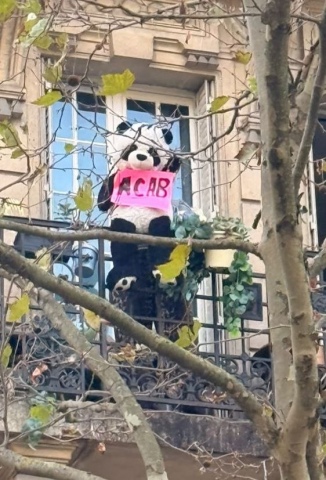 Un pupazzo di panda con il cartello Acab