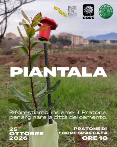 Manifesto Pratone di Torre Spaccata