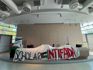 Foto dello striscione Scholar Intifada