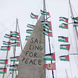 immagine Flotilla