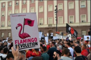 La protesta dei fenicotteri
