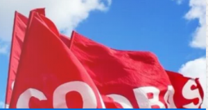 bandiera Cobas
