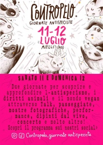 Flyer festival aielli