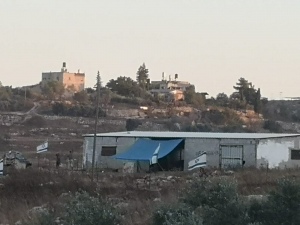 coloni israeliani