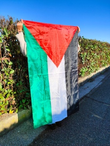 bandiera palestinese