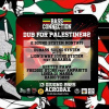Locandina Dub for Palestine