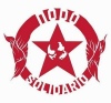 Logo Nodo Solidale