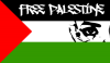  Bandiera palestinese